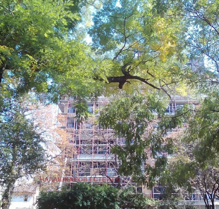 For Sale  2 bedroom Sofia , Poduyane , 132 sq.m | 55853603