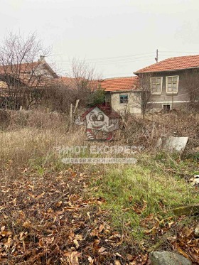 ������ ������� ����