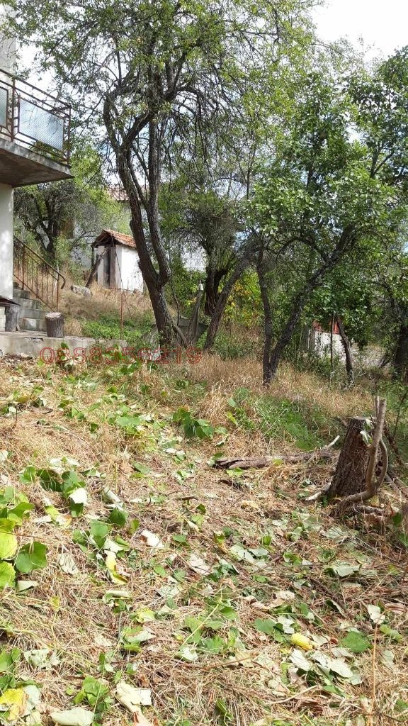 Продава КЪЩА, с. Повалиръж, област София област, снимка 5 - Къщи - 53635400