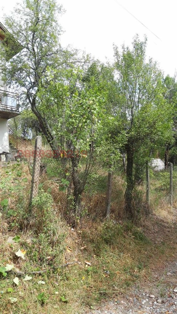 Продава КЪЩА, с. Повалиръж, област София област, снимка 4 - Къщи - 53635400