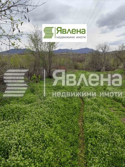 Продава  Парцел област Видин , с. Дъбравка , 1552 кв.м | 97426908 - изображение [8]