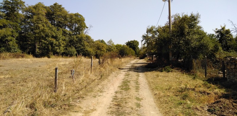 Продава ПАРЦЕЛ, гр. Карлово, област Пловдив, снимка 7 - Парцели - 53011619