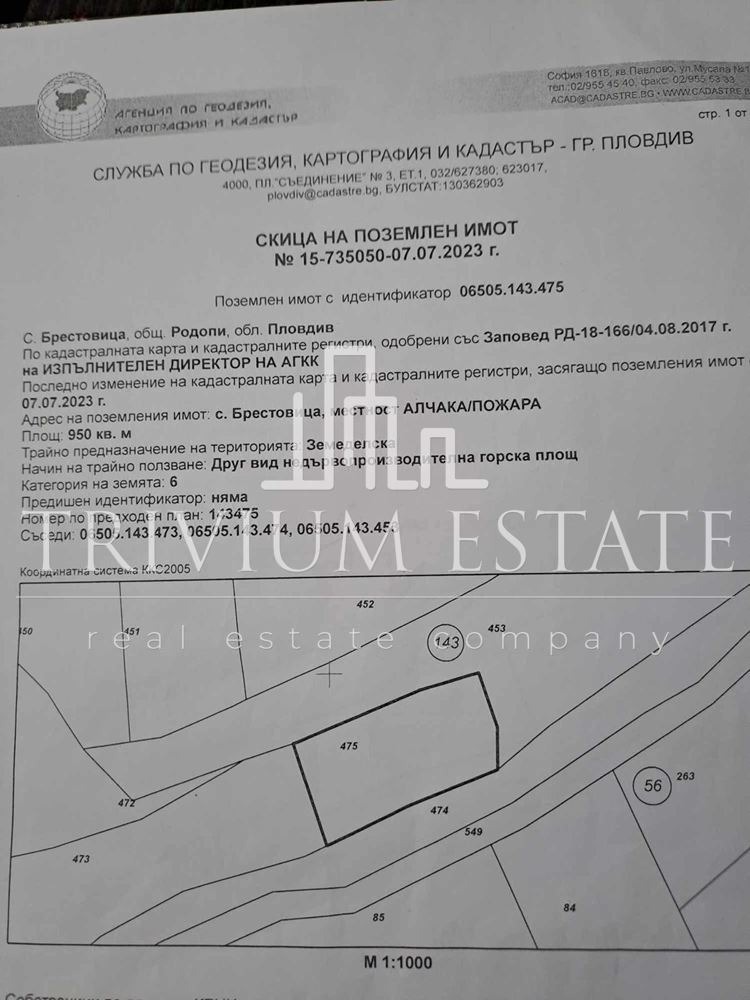 En venta  Tierra región Plovdiv , Brestovitsa , 2.887 dka | 54011442 - imagen [2]