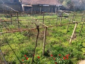 ������� ���� | Imot.bg � ����� ������ 9