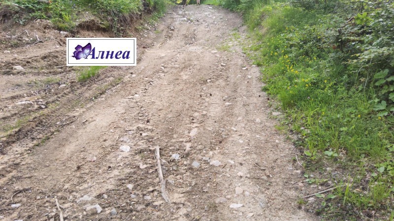 Till salu  Komplott region Plovdiv , Dobralak , 630 kvm | 78891152 - bild [12]