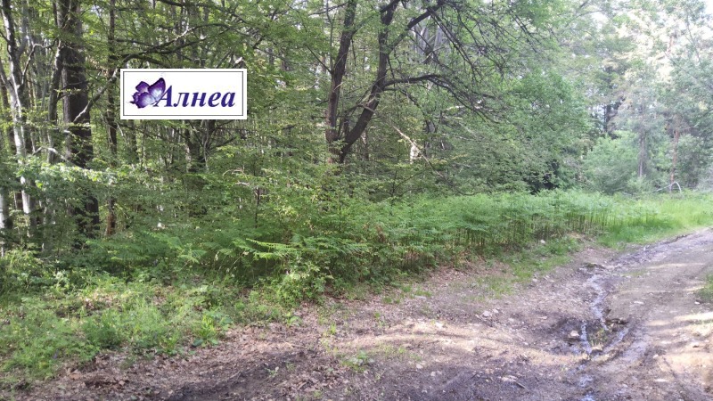 Till salu  Komplott region Plovdiv , Dobralak , 630 kvm | 78891152 - bild [10]