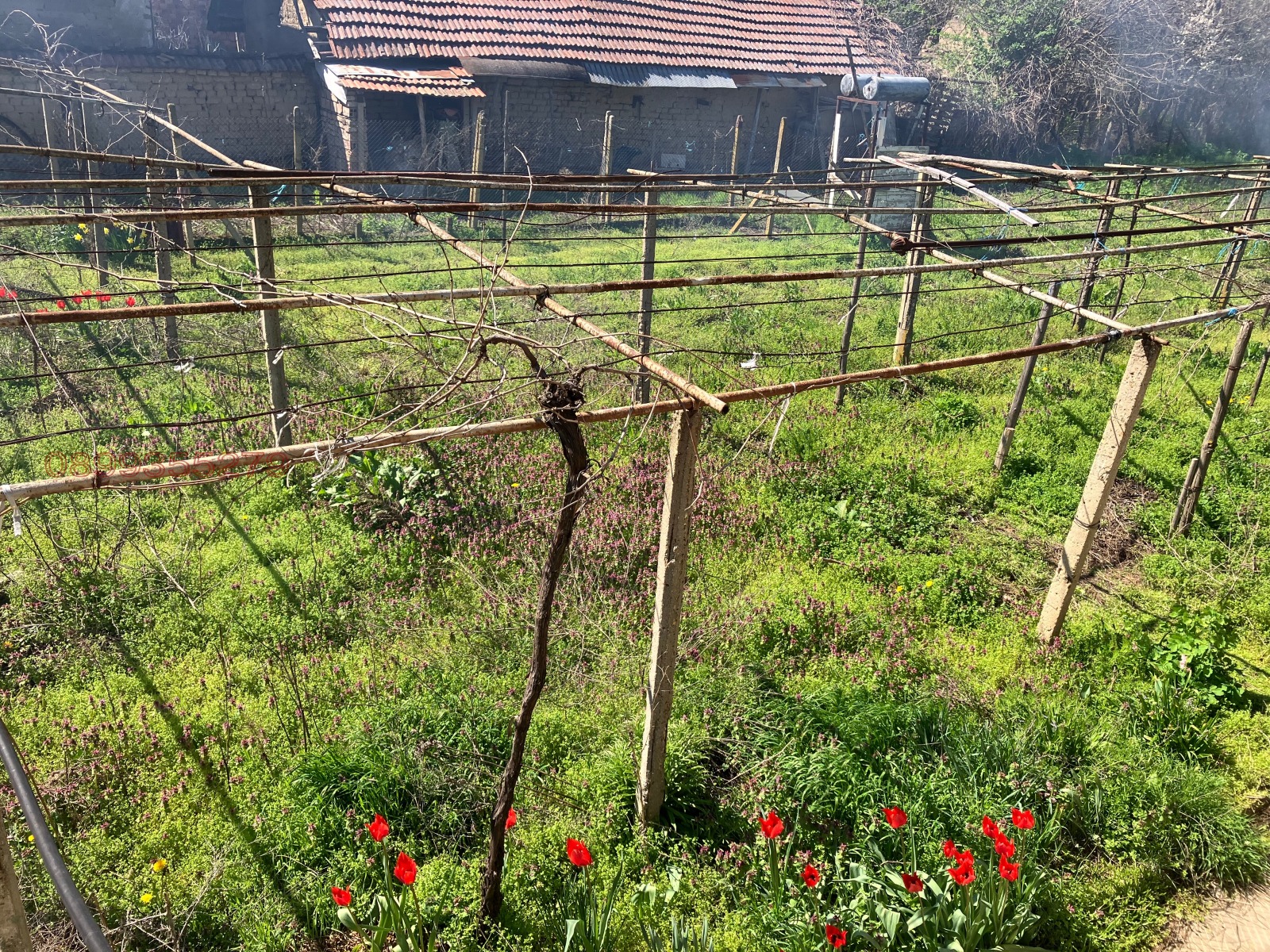 Продава КЪЩА, с. Българене, област Плевен, снимка 8 - Къщи - 54138321