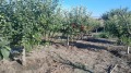 Продава КЪЩА, с. Житница, област Варна, снимка 10