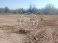 Продава ПАРЦЕЛ, с. Припек, област Варна, снимка 3