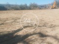 Продава ПАРЦЕЛ, с. Припек, област Варна, снимка 4