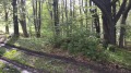 Продава ПАРЦЕЛ, област Пловдив, с. Добралък • 18900 € • 95366646 — Holmes.bg