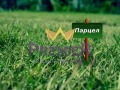 Продава ПАРЦЕЛ, област Добрич, с. Могилище • 22200 € / 43419.43 лв. • 37258161 1
