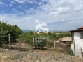 Продава ПАРЦЕЛ, с. Брестовица, област Пловдив, снимка 3