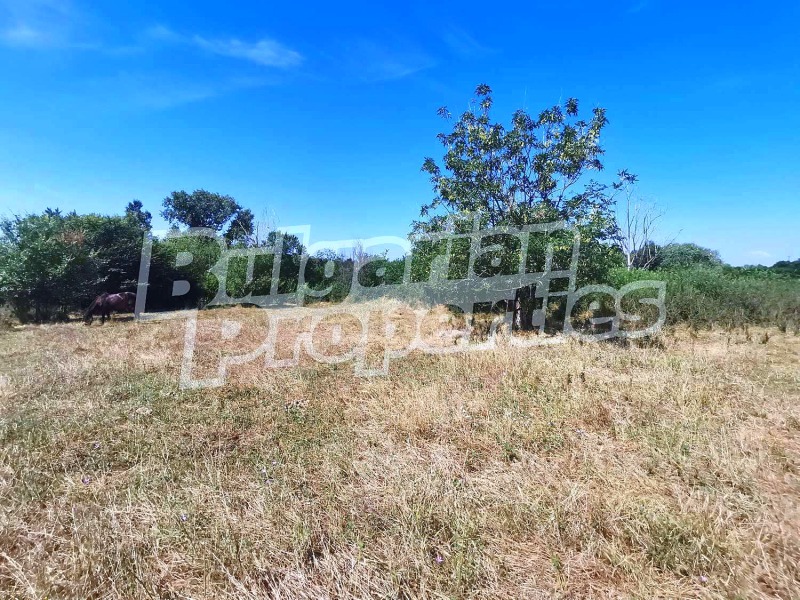 Продава ПАРЦЕЛ в област Пловдив, с. Долна махала - 860 кв.м / 13 800 € » 26 990.45 лв., БЪЛГЕРИАН ПРОПЕРТИС