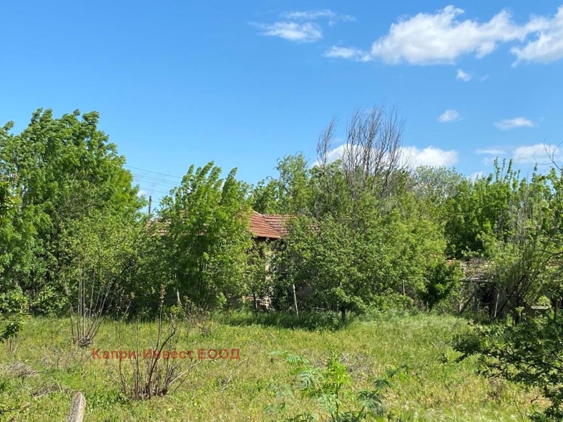 Til salg  Hus region Dobrich , Hadzhi Dimitar , 90 kvm | 68833419 - billede [2]