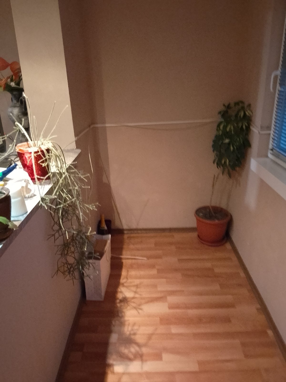 Продава 2-СТАЕН | Imot.bg — изображение 4