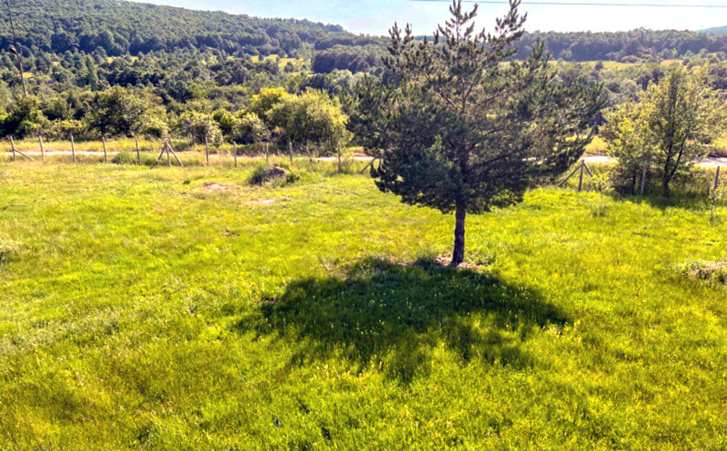 Продава ПАРЦЕЛ, гр. Елин Пелин, област София област, снимка 5 - Парцели - 52349836