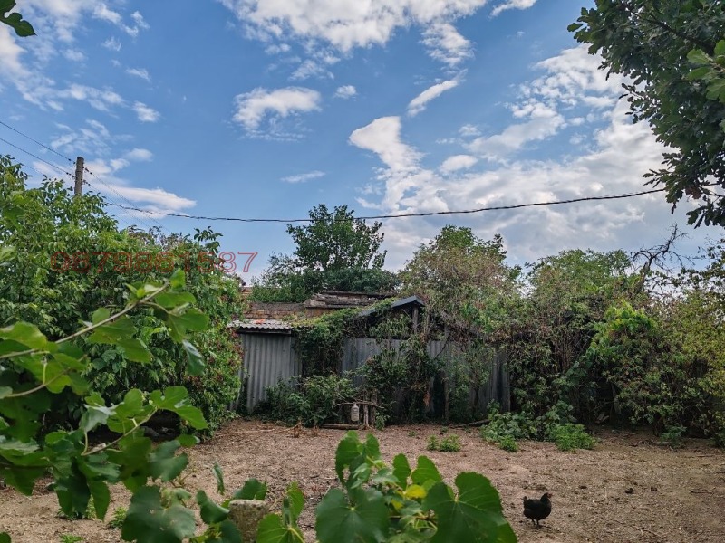 Продава КЪЩА, гр. Николаево, област Стара Загора, снимка 5 - Къщи - 52781874
