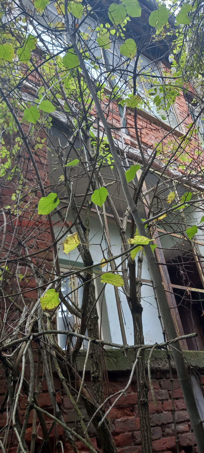 Продава КЪЩА, с. Сирищник, област Перник, снимка 8 - Къщи - 52782051