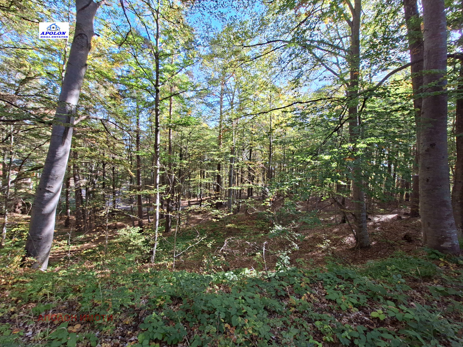 Продава ВИЛА, гр. Пещера, област Пазарджик, снимка 3 - Вили - 56435783