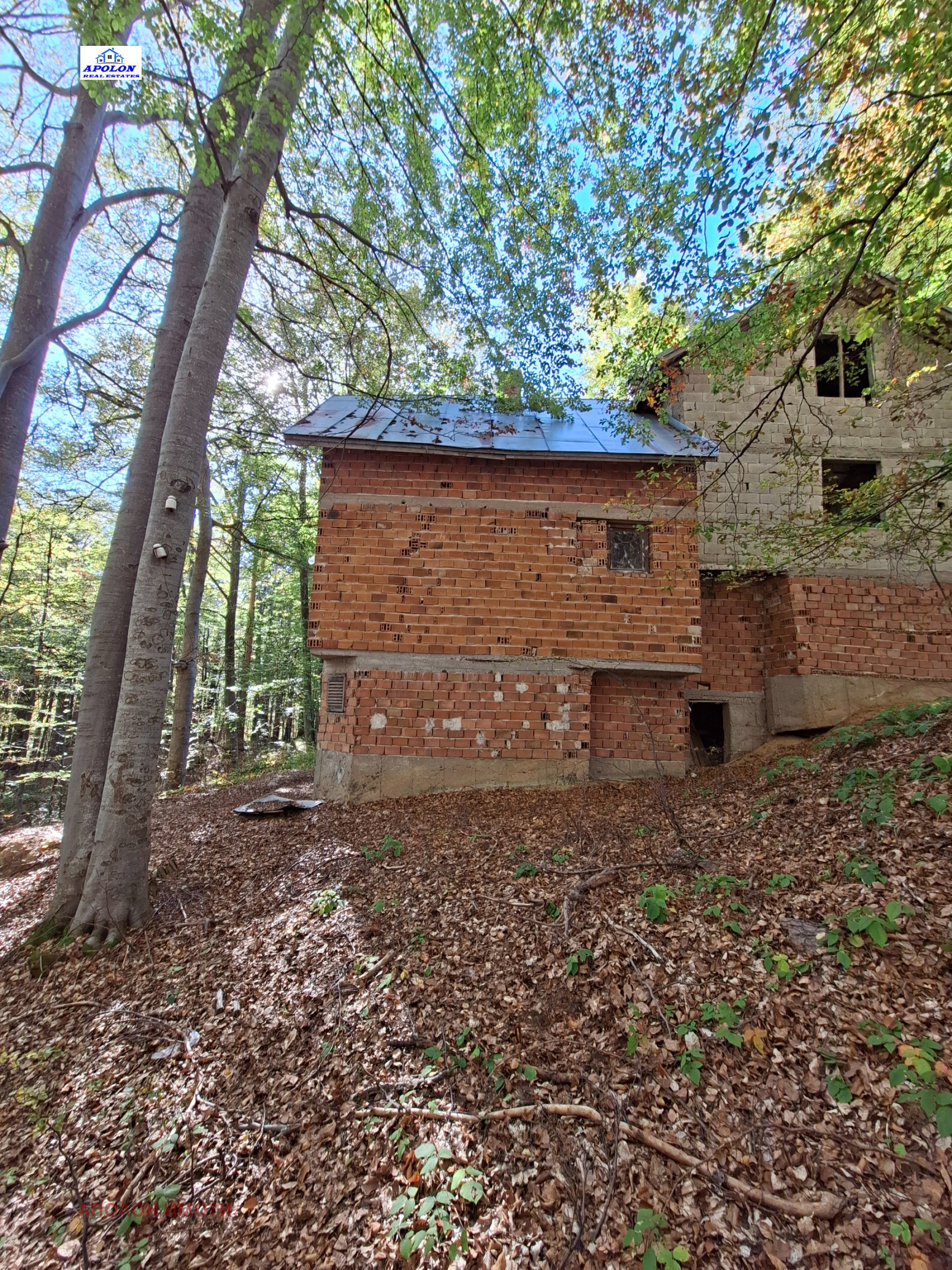 Продава ВИЛА, гр. Пещера, област Пазарджик, снимка 5 - Вили - 56435783