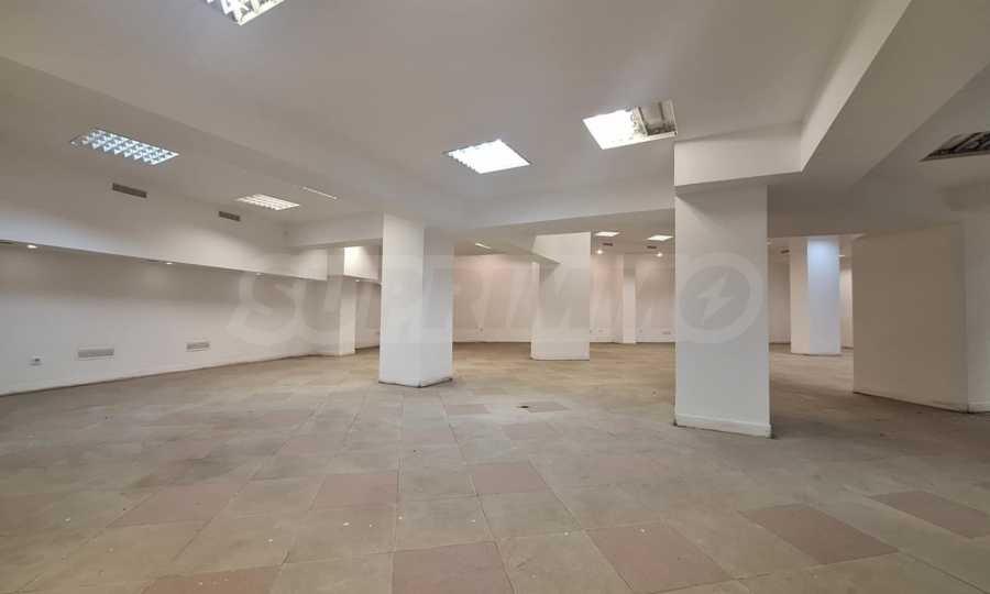 Продава МАГАЗИН, гр. София, Център, снимка 6 - Магазини - 55736074