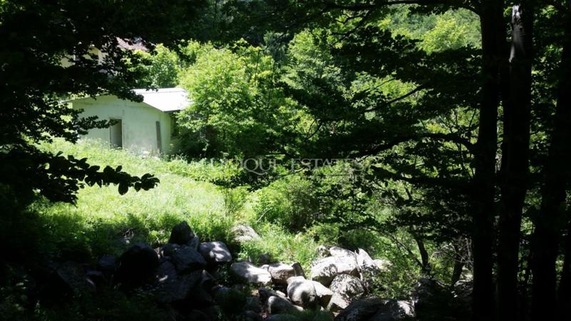 Продава ПАРЦЕЛ | Imot.bg — изображение 4