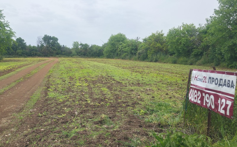 For Sale  Plot region Dobrich , Balgarevo , 1240 sq.m | 72312839