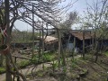 Продава КЪЩА, област Велико Търново, с. Добри дял • 60000 € / 117349.80 лв. • 21403321 15