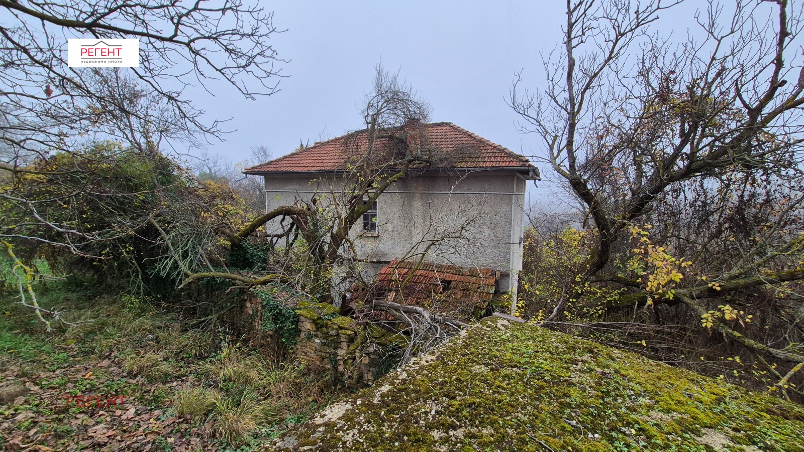 ������� ���� | Imot.bg � ����������� 3