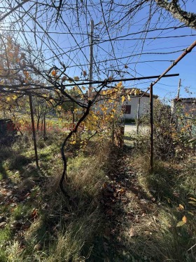 ������� ���� | Imot.bg � ����� ������ 9