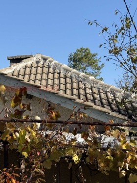 ������� ���� | Imot.bg � ����� ������ 8