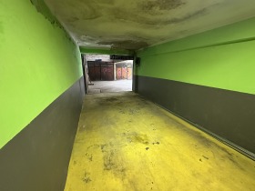 ����� ������� �����,���� ������, ����� ������