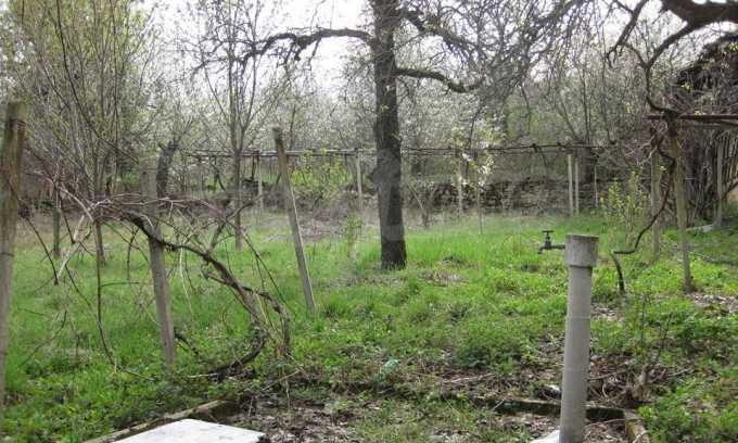 Продава КЪЩА, гр. Севлиево, област Габрово, снимка 7 - Къщи - 53248499