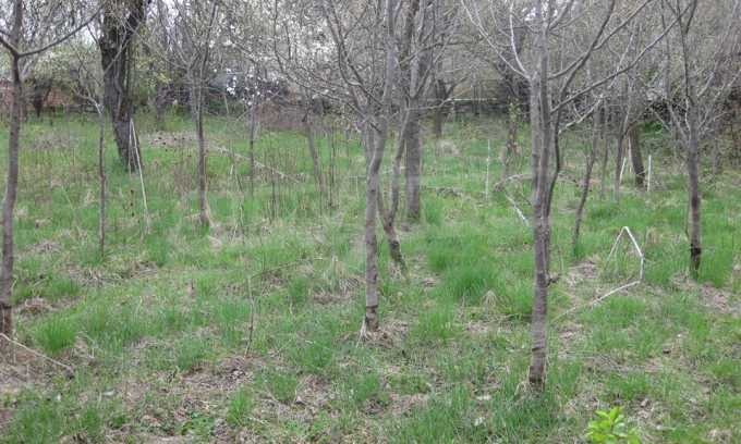 Продава КЪЩА, гр. Севлиево, област Габрово, снимка 6 - Къщи - 53248499