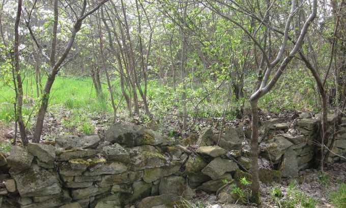 Продава КЪЩА, гр. Севлиево, област Габрово, снимка 5 - Къщи - 53248499