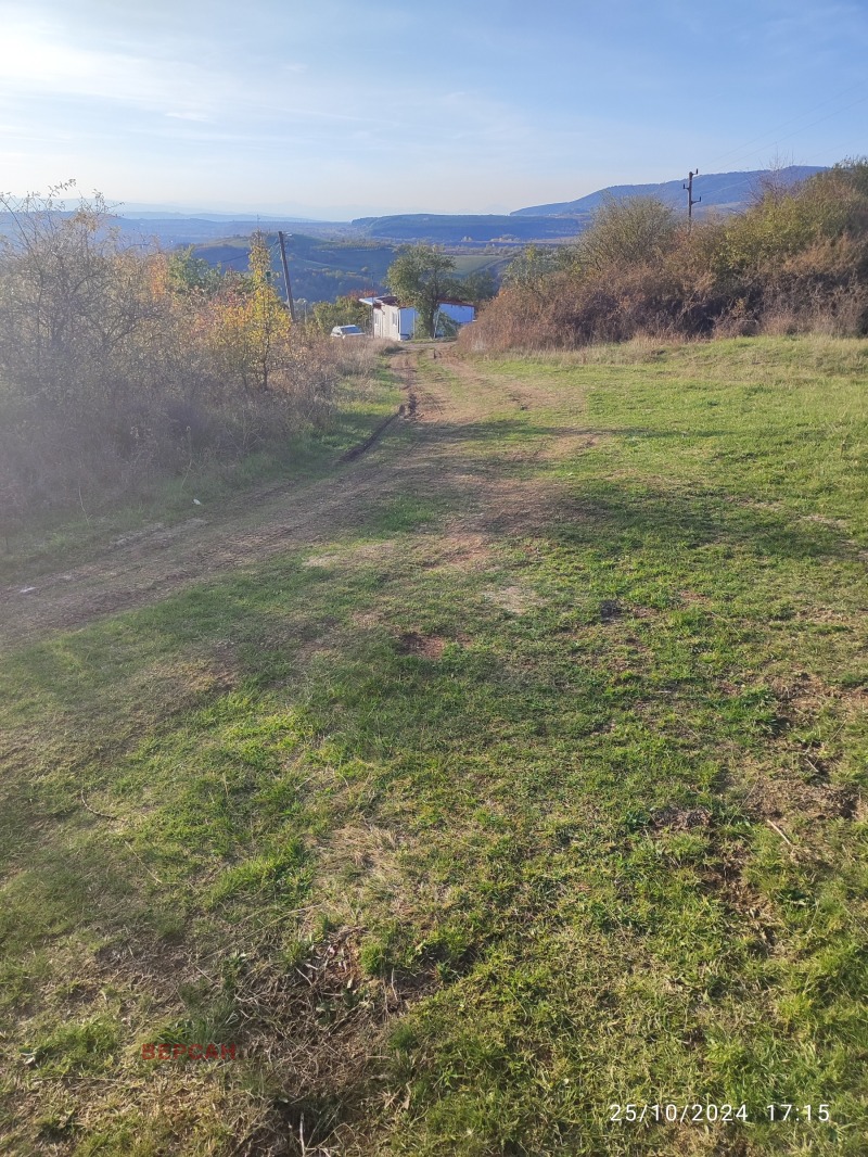 For Sale  Plot region Pernik , Golemo Buchino , 478 sq.m | 29463675 - image [4]