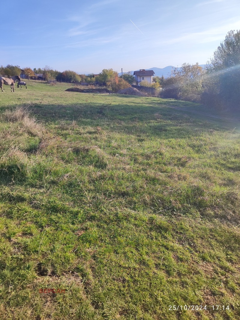 For Sale  Plot region Pernik , Golemo Buchino , 478 sq.m | 29463675 - image [5]