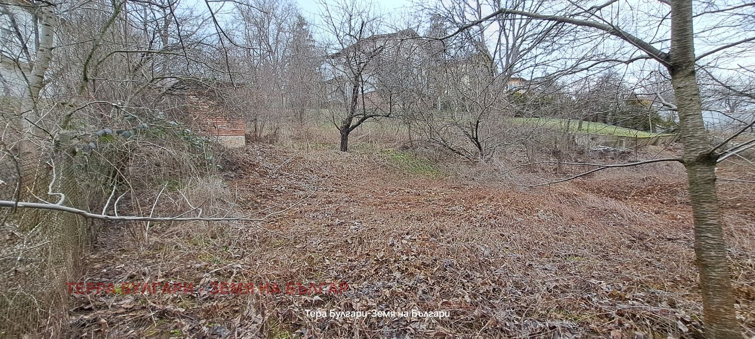 ������� ������ | Imot.bg � ����������� 16