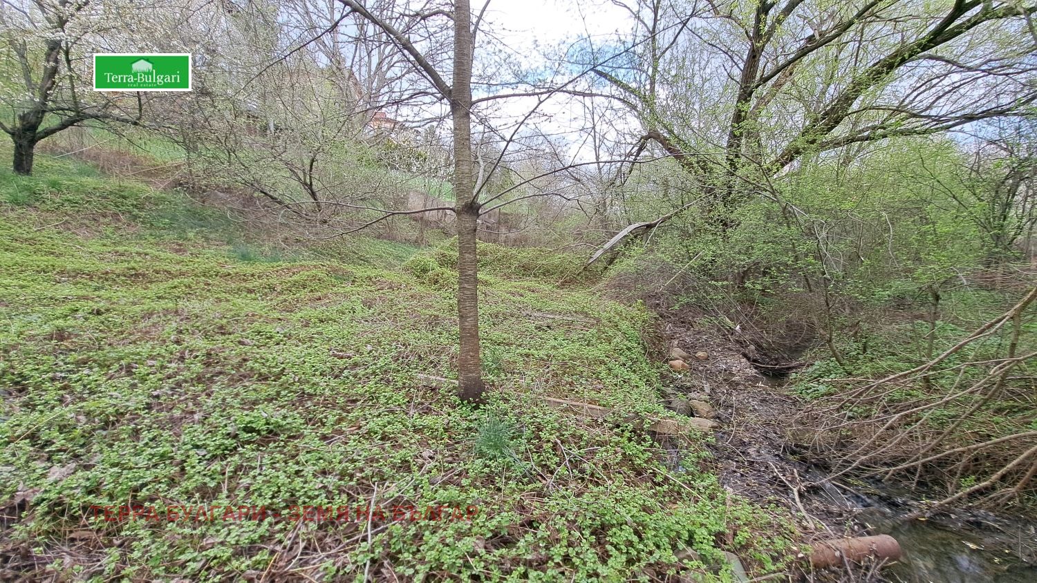 Продава ПАРЦЕЛ | Imot.bg — изображение 10