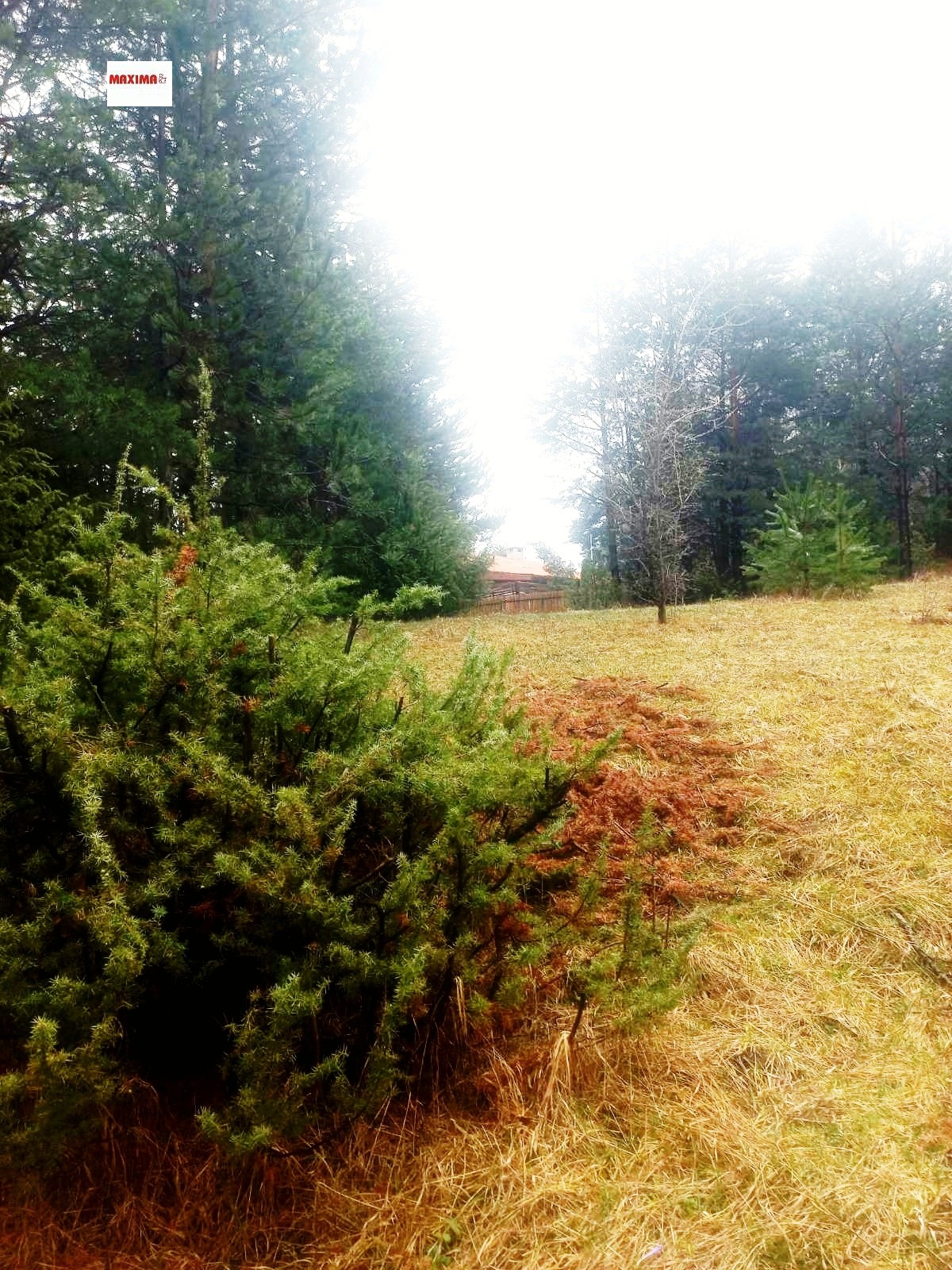 ������� ������ | Imot.bg � ����������� 1