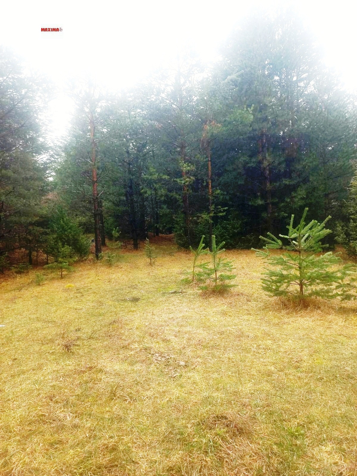 ������� ������ | Imot.bg � ����������� 5