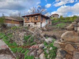 ������ ������� ����