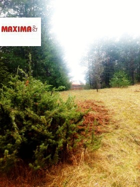 ����� ������� ������,��. ������, ������ �����������