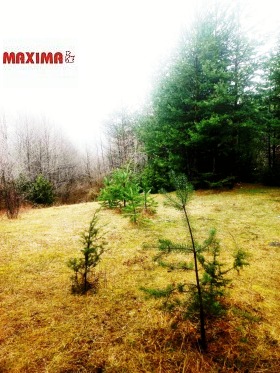 ������� ������ | Imot.bg � ����� ������ 4