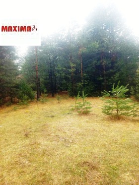 ������� ������ | Imot.bg � ����� ������ 5