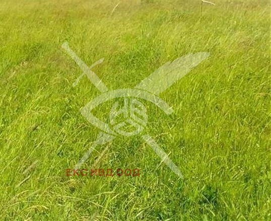 Продава ПАРЦЕЛ, област Пловдив, с. Лясково • 35000 € • 52057710 — Holmes.bg