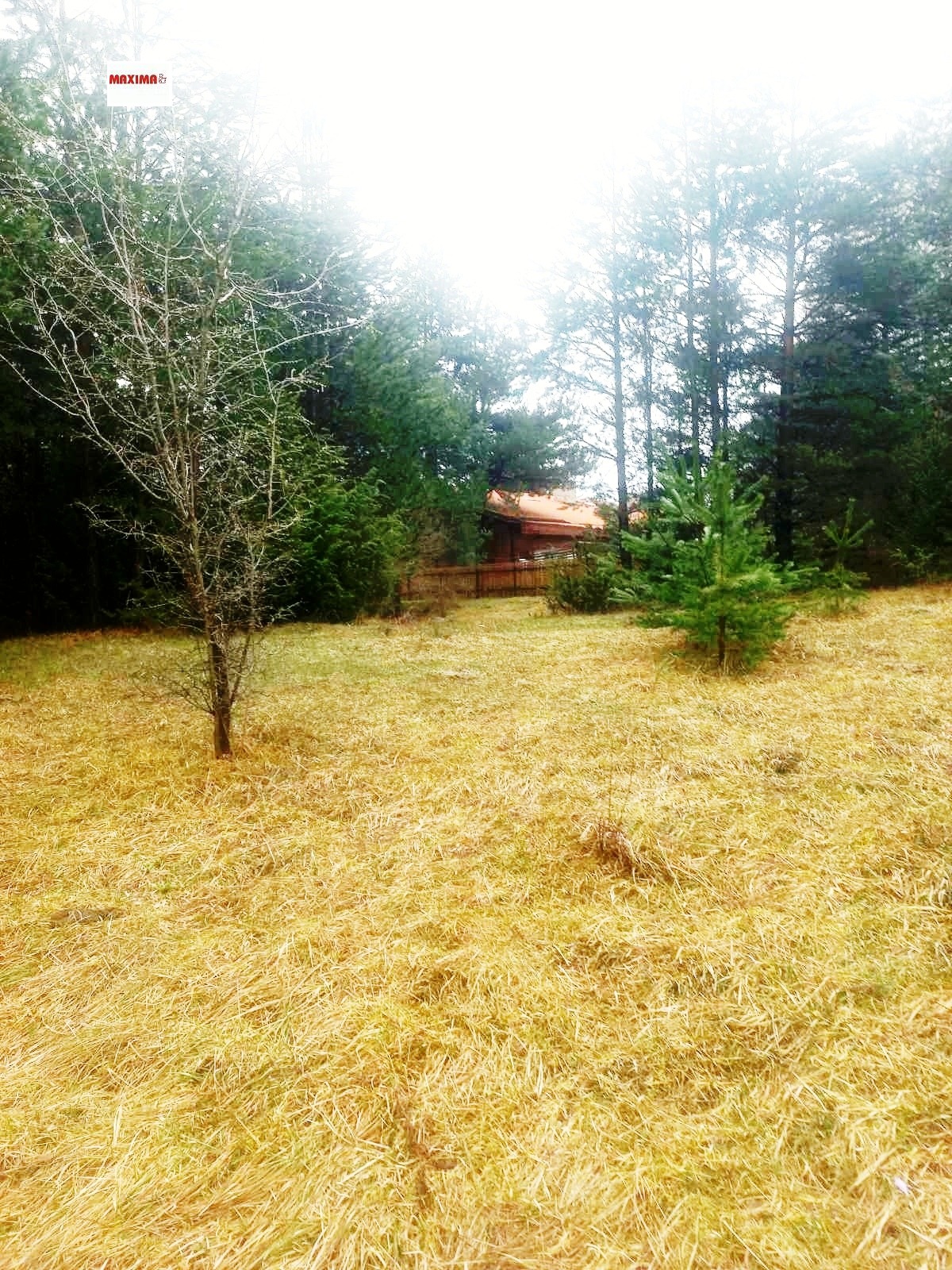 Продава ПАРЦЕЛ, гр. Разлог, област Благоевград, снимка 2 - Парцели - 53836887