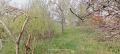 Продава ПАРЦЕЛ, град София, с. Иваняне • 92000 € • 15343419 — Holmes.bg