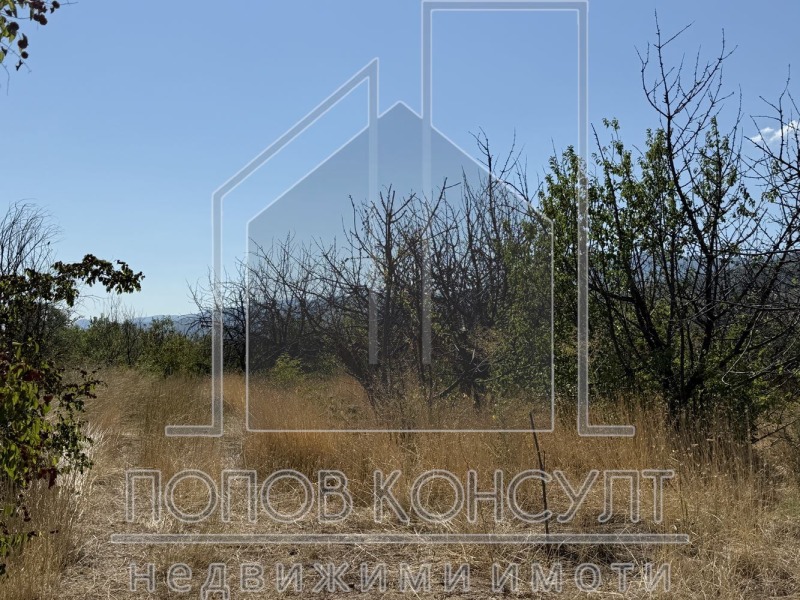 À vendre  Parcelle région Plovdiv , Brestnik , 6123 m² | 85824863 - image [3]